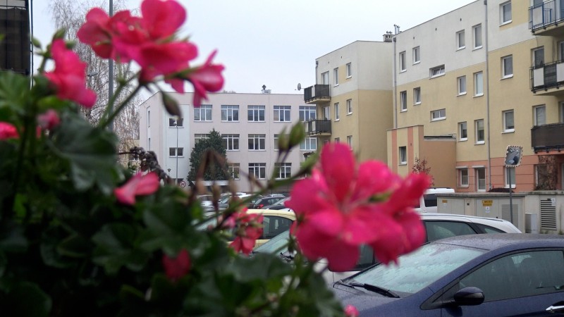 SWARZĘDZ MOJE MIASTO ODC. 1